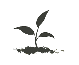 Teepflanze Icon