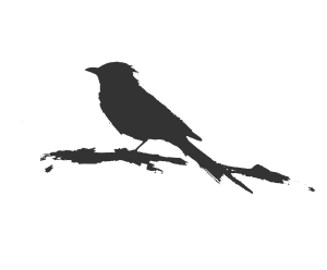 Teepflanze Icon
